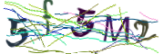 이미지 CAPTCHA