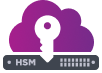ícone de nuvem e chave HSM