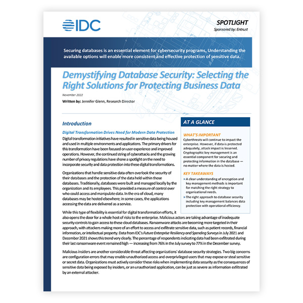 Demystifying Database Security white paper