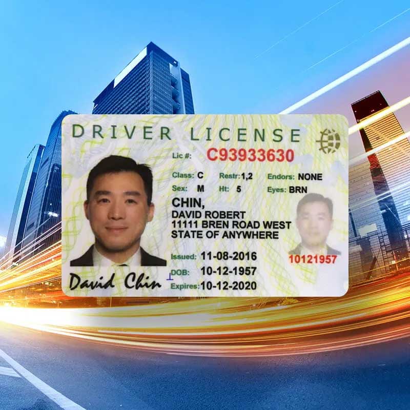 Beispiel eines Führerscheins