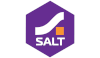 Логотип Salt Group