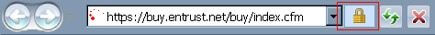 Screenshot del browser certificato SSL