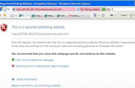 screenshot di esempio di un sito web di phishing