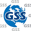 Global Systems Source ltd logo